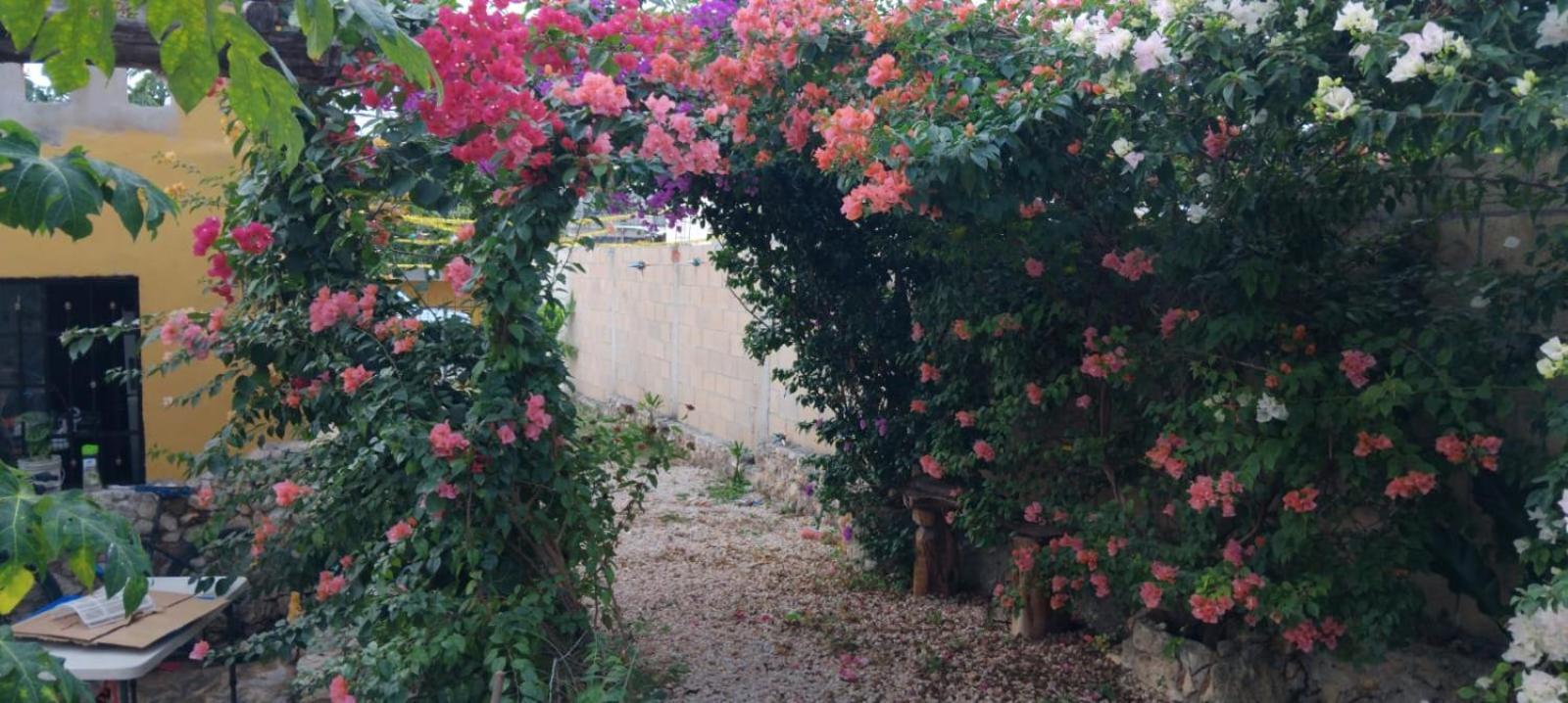 Casa Los Jarochos วัลลาโดลิด ภายนอก รูปภาพ